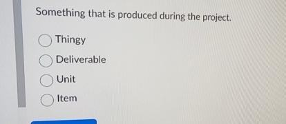  Something that is produced during the project. Thingy Deliverable Unit Item