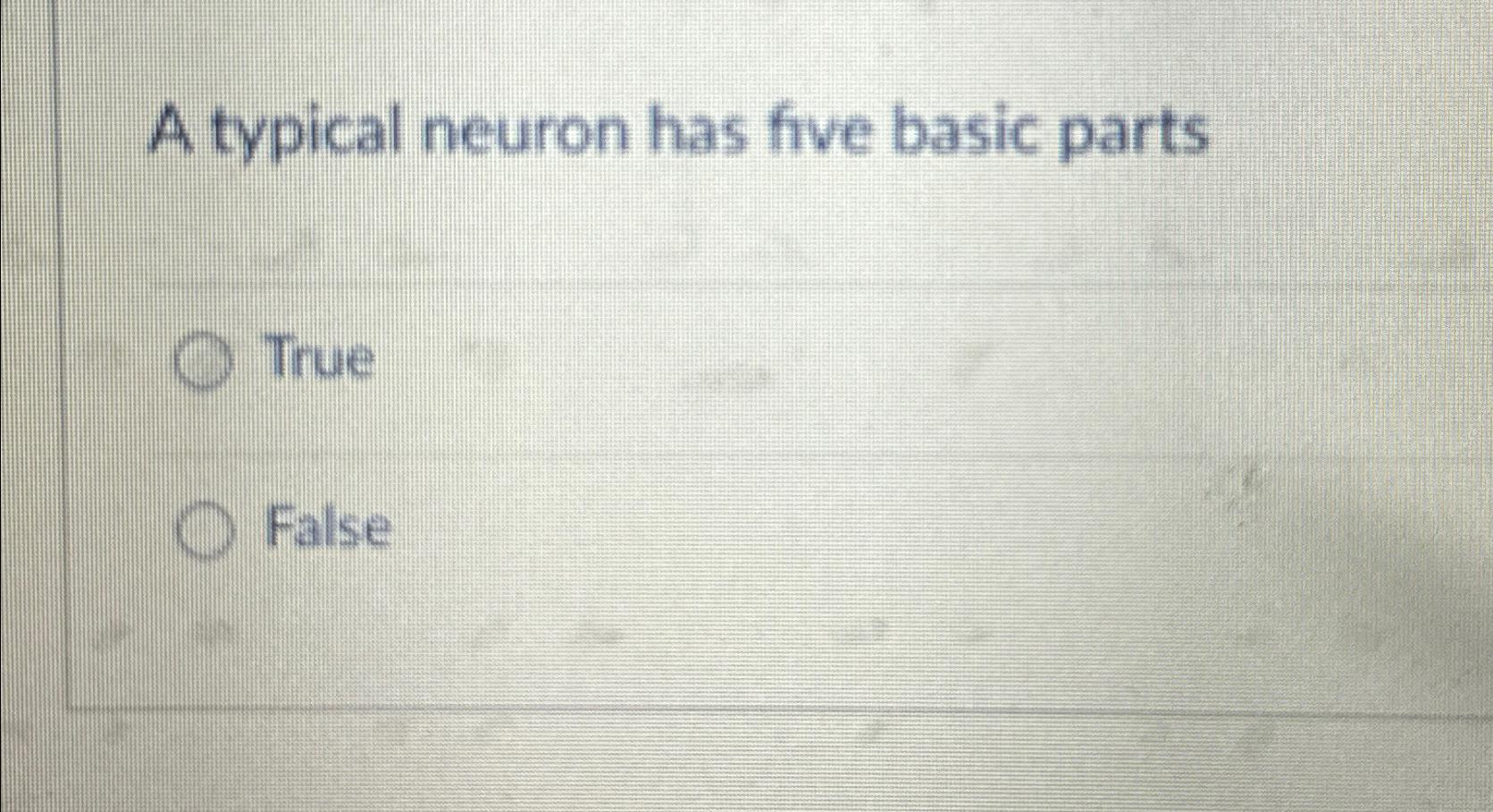  A typical neuron has five basic parts True False 
