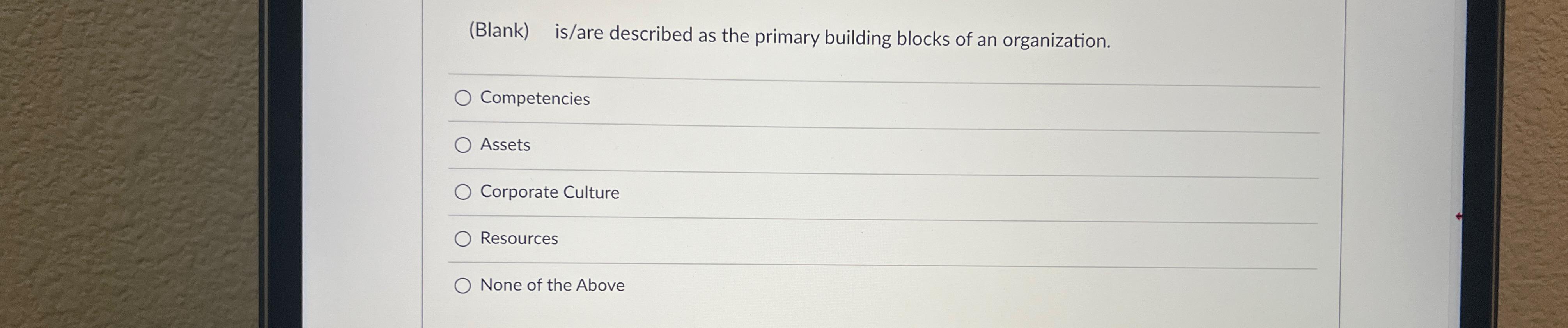  (Blank) is/are described as the primary building blocks of an organization.