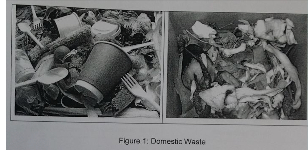  Figure 1: Domestic Waste 