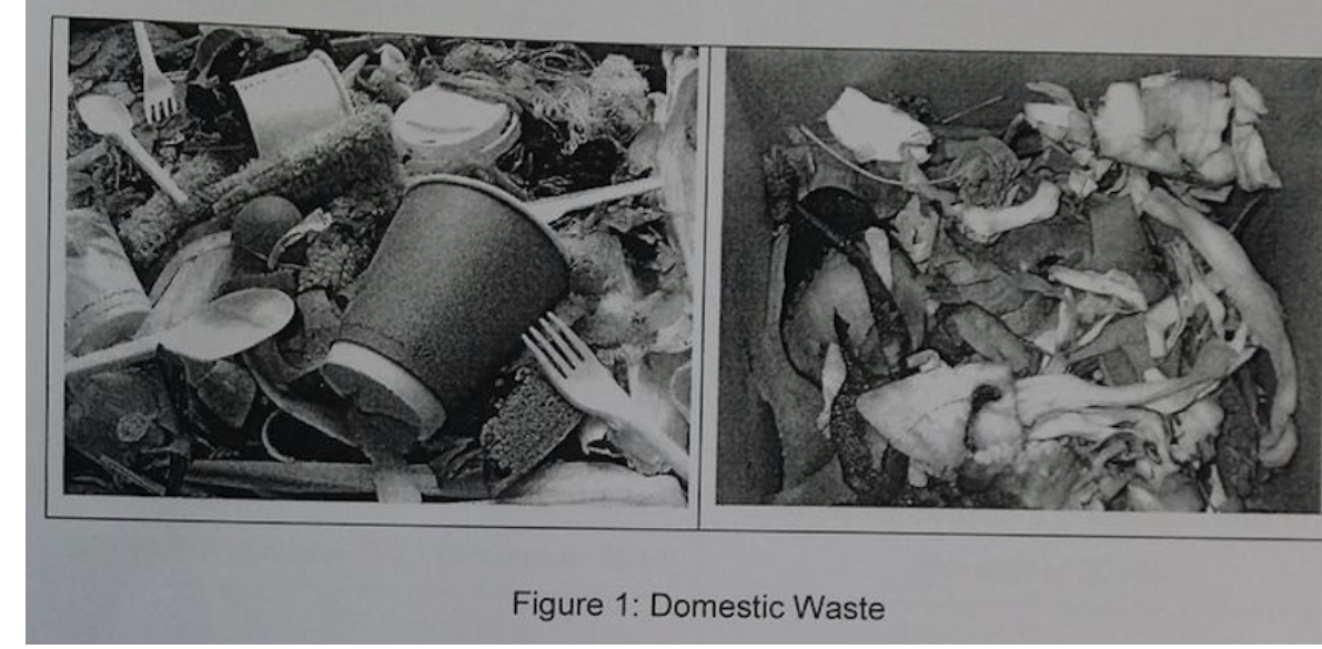  Figure 1: Domestic Waste. What the difference between these two figure