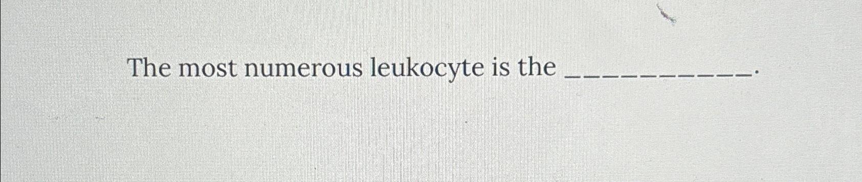  The most numerous leukocyte is the 