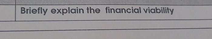  Briefly explain the financial viability 