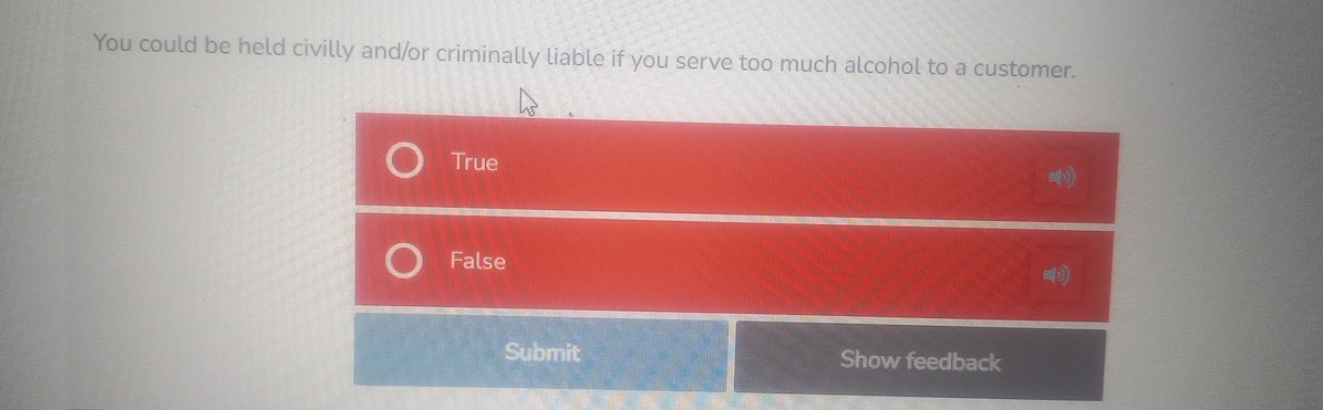  You could be held civilly and/or criminally liable if you serve