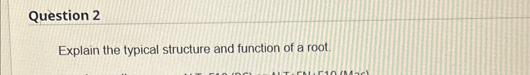  Question 2 Explain the typical structure and function of a root.