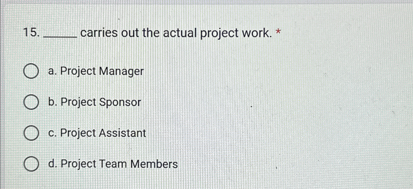  carries out the actual project work. * a. Project Manager b.