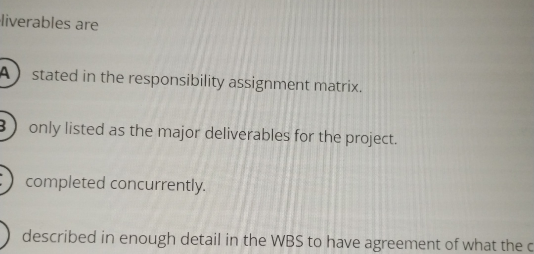  liverables are stated in the responsibility assignment matrix. only listed as