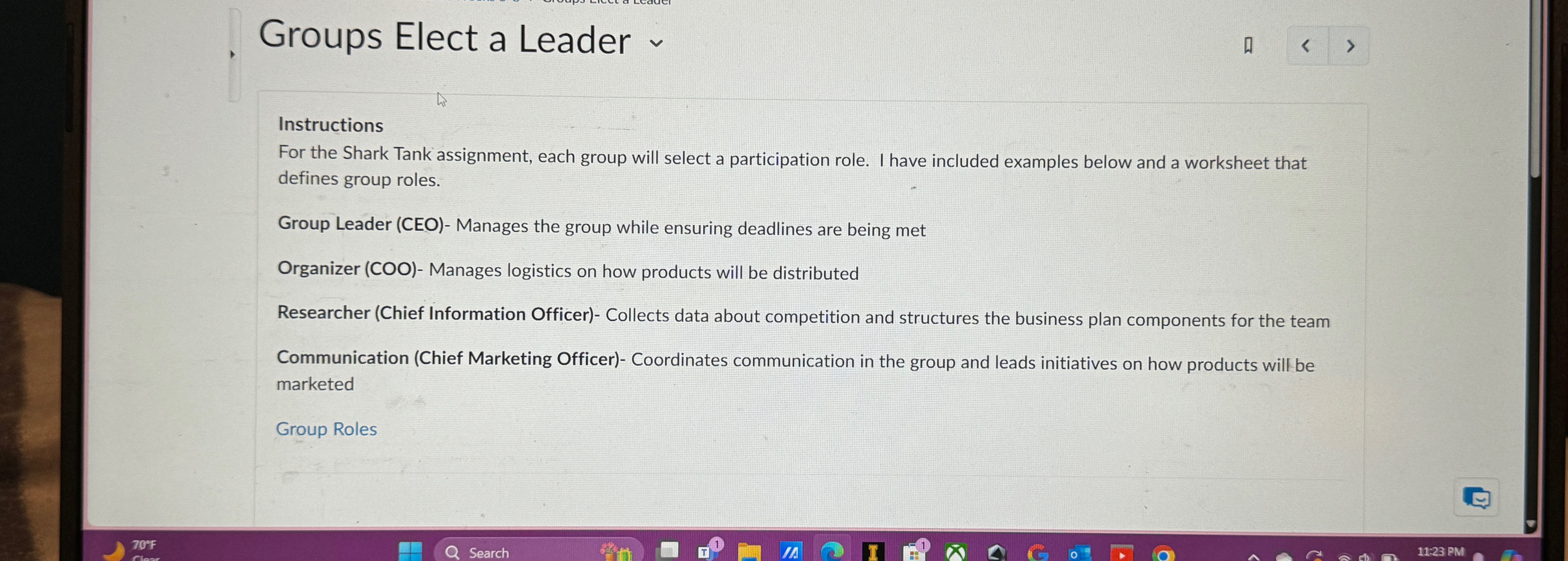  Groups Elect a Leader Instructions For the Shark Tank assignment, each