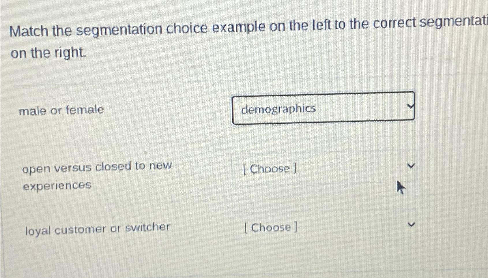  Match the segmentation choice example on the left to the correct