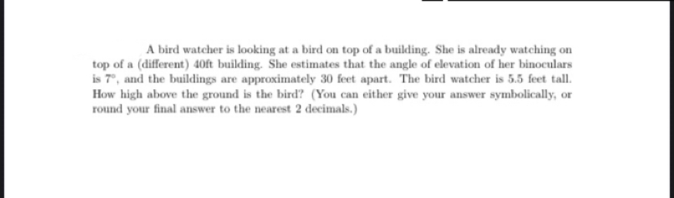 A bird watcher is looking at a bird on top of