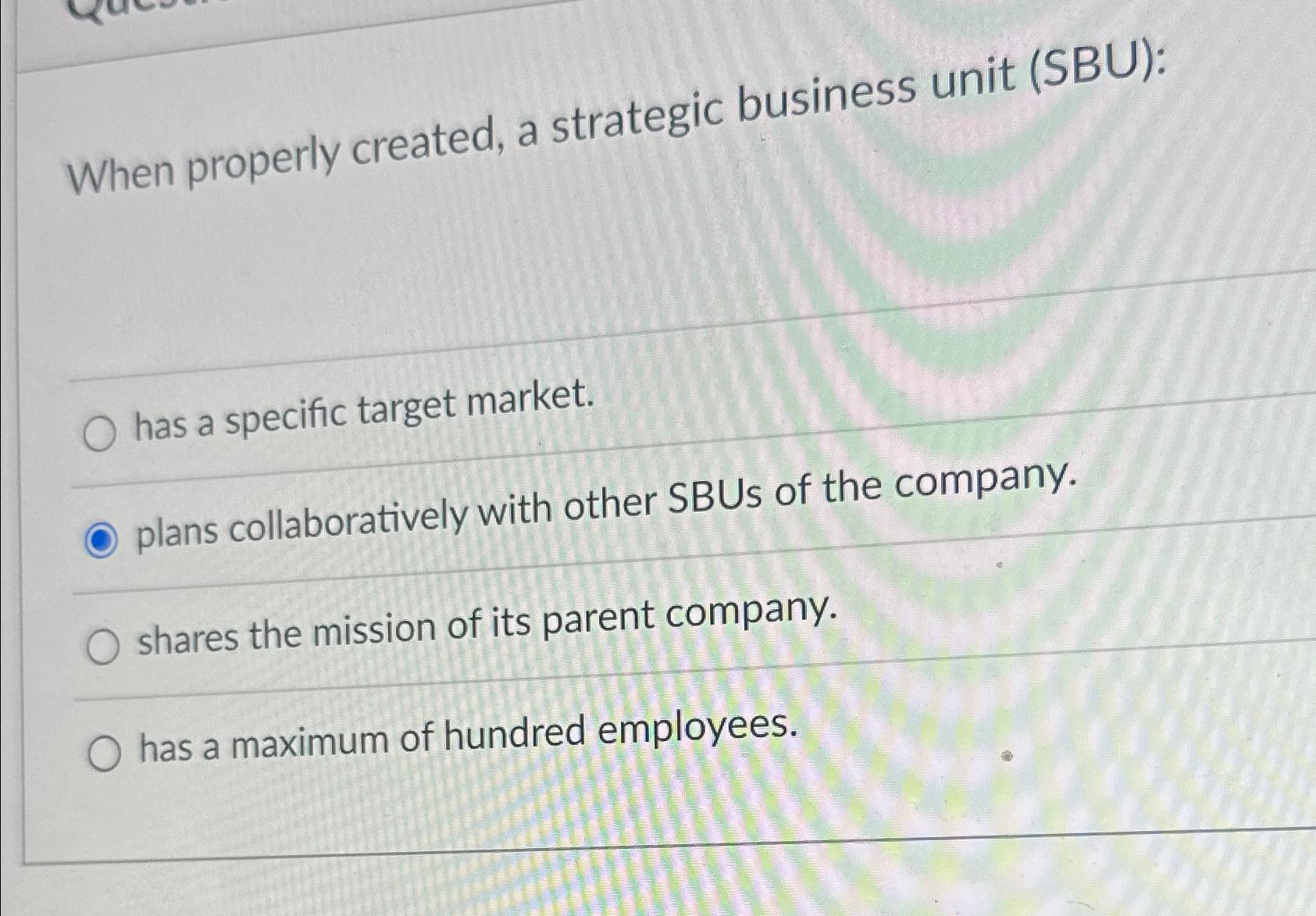  When properly created, a strategic business unit (SBU): has a specific