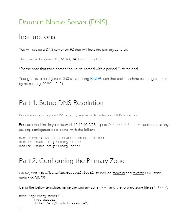 Domain Name Server (DNS) Instructions You will set up a DNS
