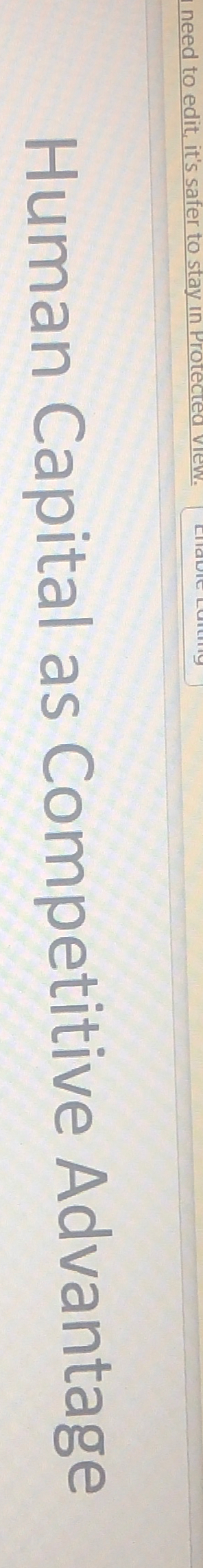  Human Capital as Competitive Advantage 