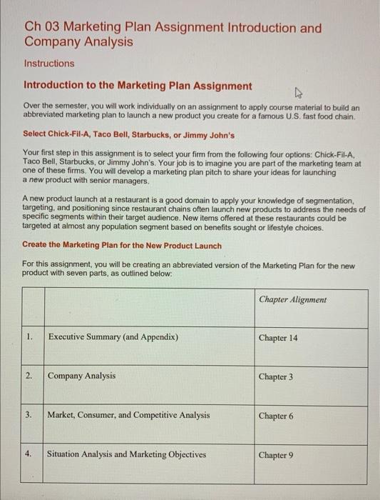  Ch 03 Marketing Plan Assignment Introduction and Company Analysis Instructions Introduction