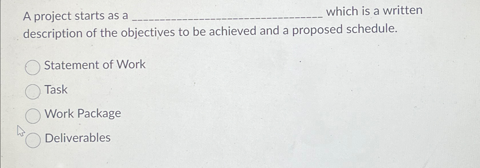  A project starts as a which is a written description of