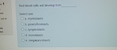  Red blood cells will develop fron Select one: a. myeioblasts b.