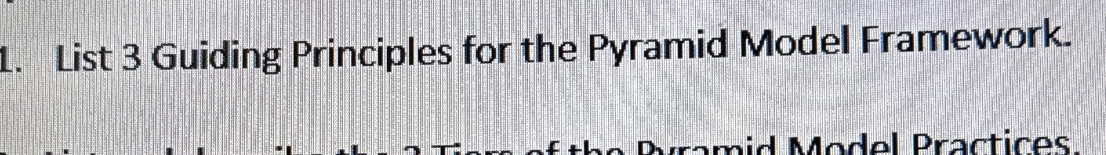  List 3 Guiding Principles for the Pyramid Model Framework. 
