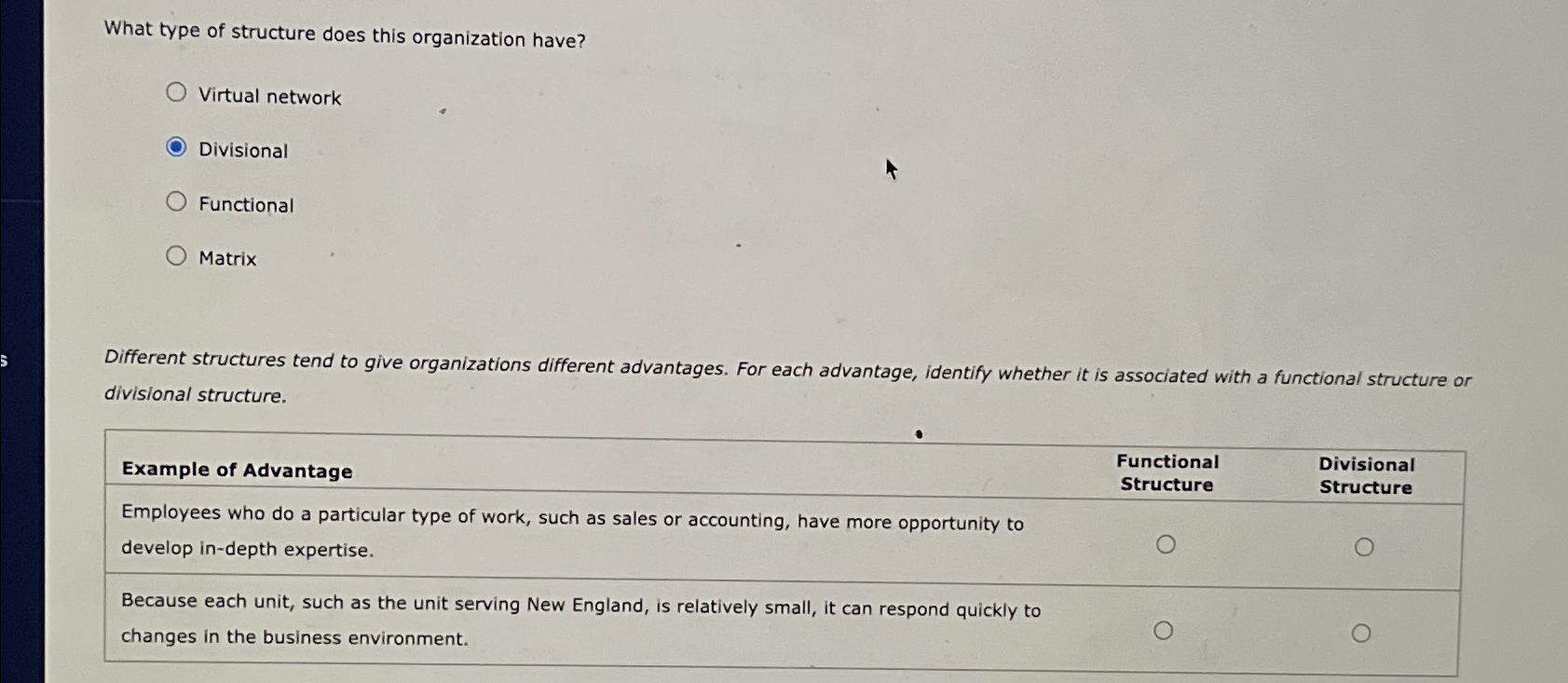  What type of structure does this organization have? Virtual network Divisional