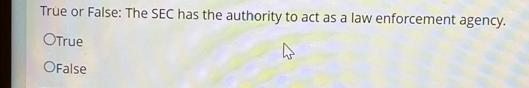  True or False: The SEC has the authority to act as