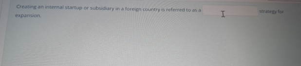  Creating an internal startup or subsidiary in a foreign country is