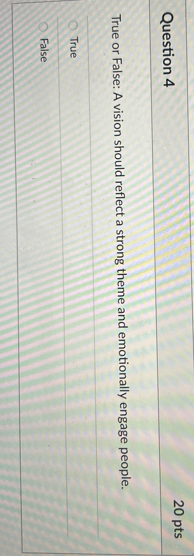  Question 4 20 pts True or False: A vision should reflect