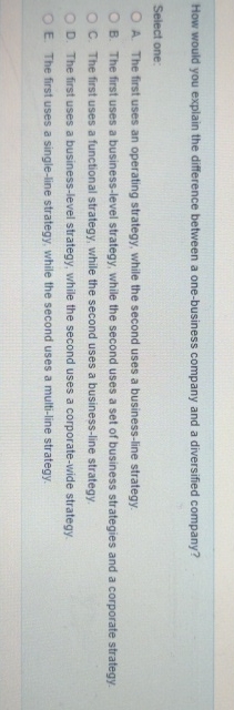  How would you explain the difference between a one-business company and