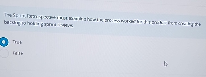  The Sprint Retrospective must examine how the process worked for this