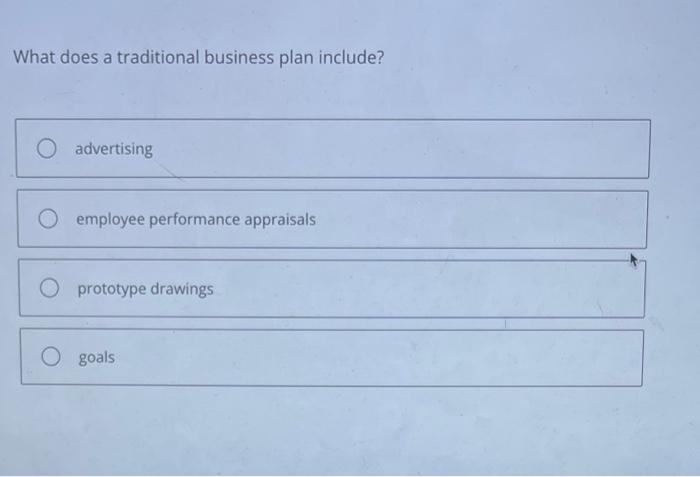  WHAT DOES A TRADITION BUSINESS PLAN INCLUDE? What does a traditional