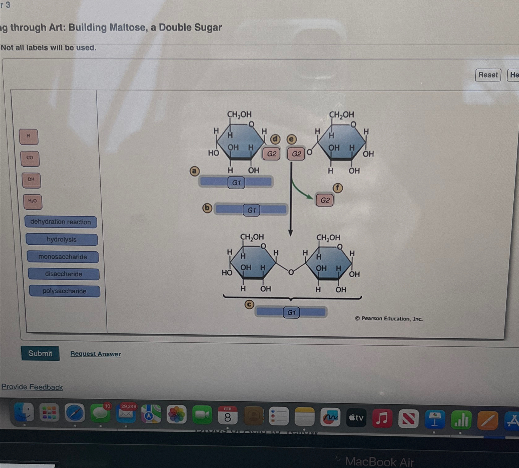  13 Ithrough Art: Building Maltose, a Double Sugar Not all labels