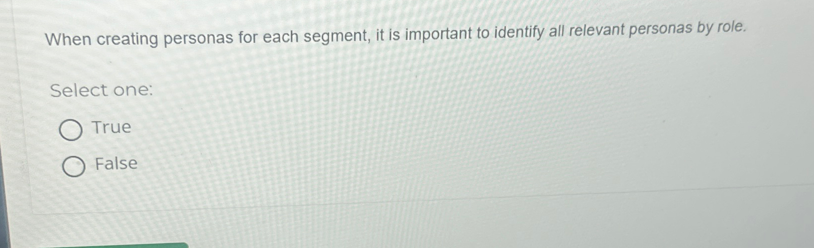  When creating personas for each segment, it is important to identify