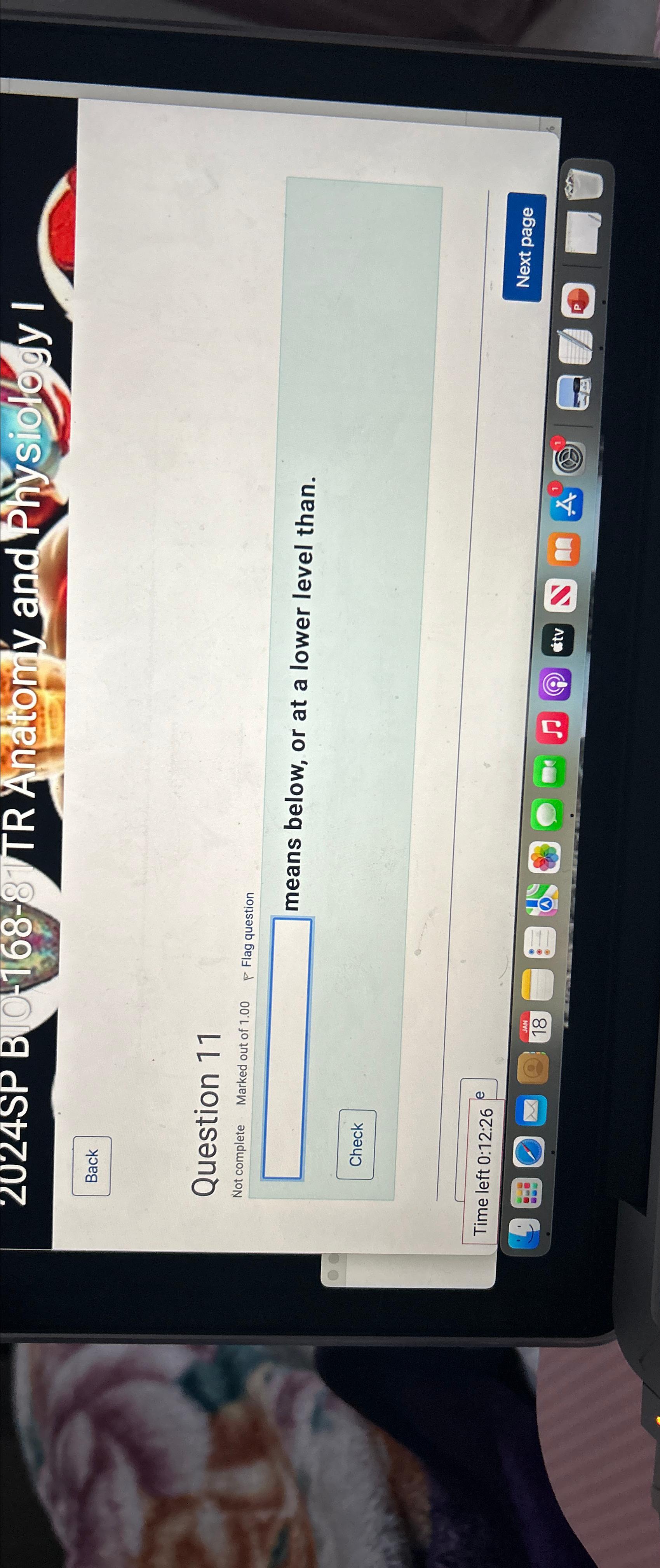  2024SP B 168 TR A natolin and Physiollo y I Back