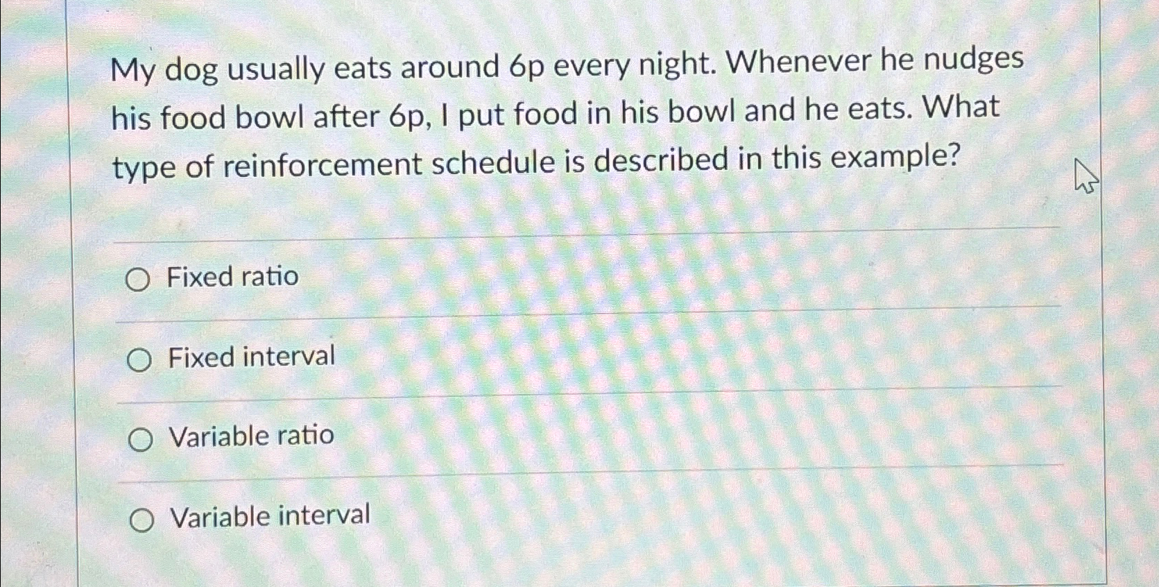  My dog usually eats around 6p every night. Whenever he nudges