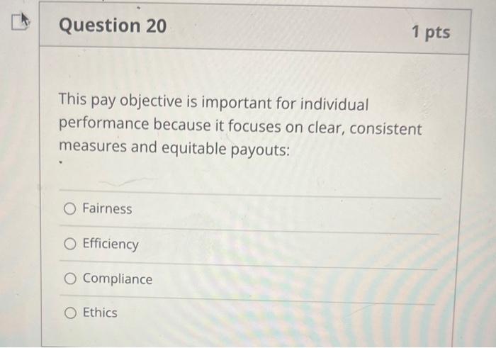  This pay objective is important for individual performance because it focuses