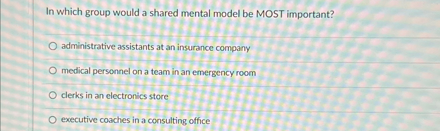  In which group would a shared mental model be MOST important?