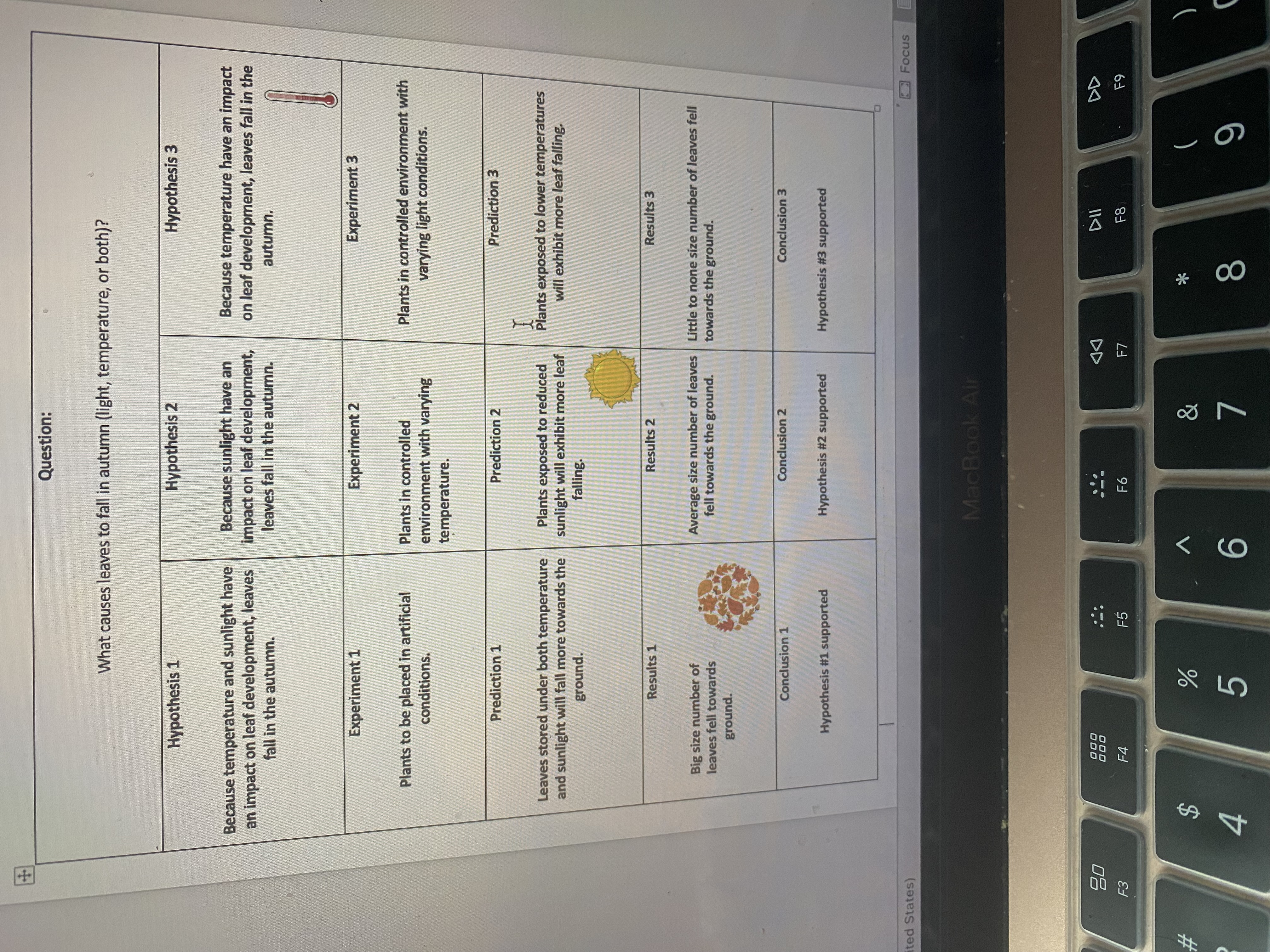  Create a lab report using the chart and also include in
