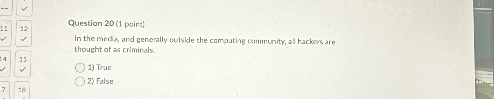  Question 20(1 point) In the media, and generally outside the computing