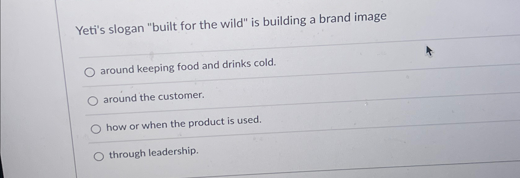  Yeti's slogan "built for the wild" is building a brand image
