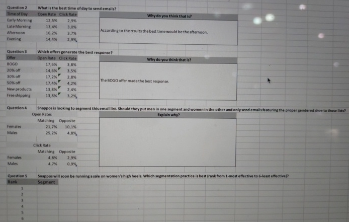  Question 4 Snappos is looking to se gment this email list.