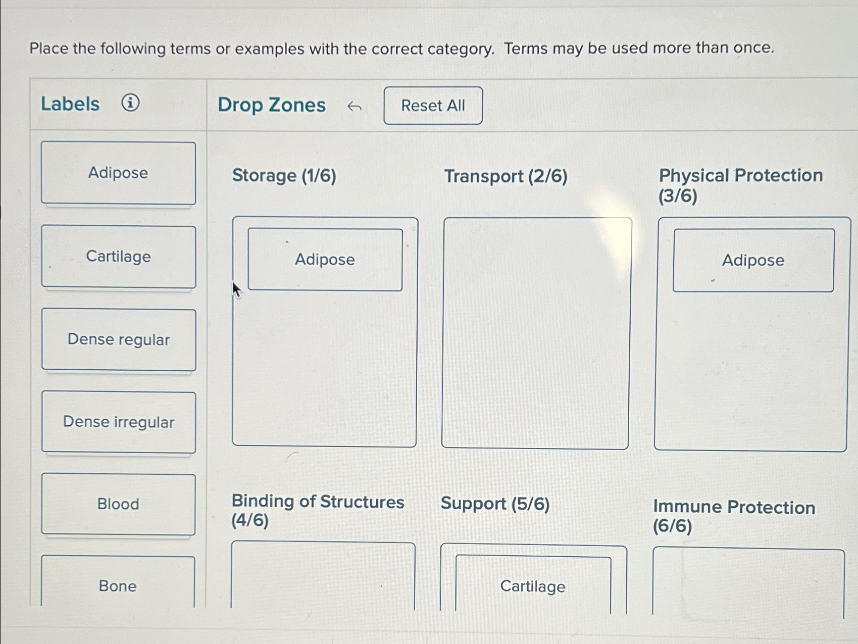  Place the following terms or examples with the correct category. Terms