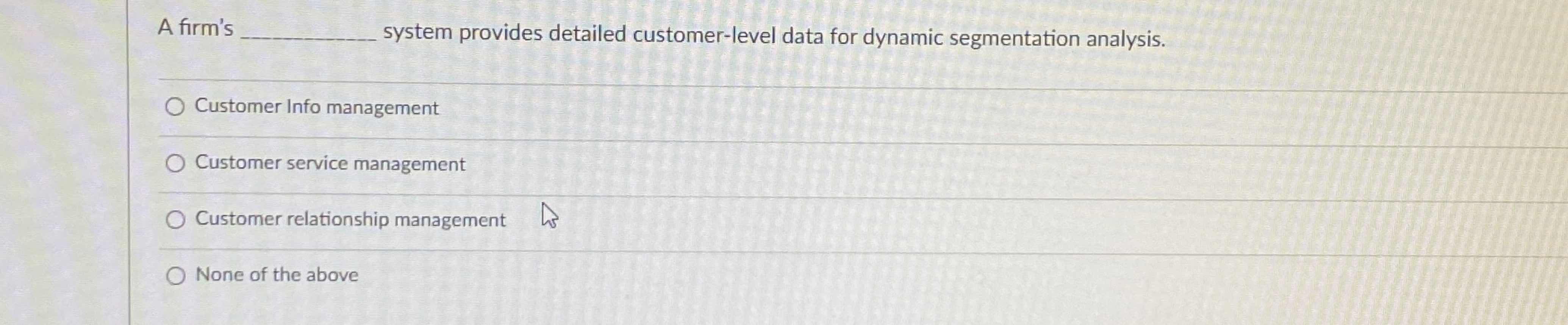  A firm's system provides detailed customer-level data for dynamic segmentation analysis.