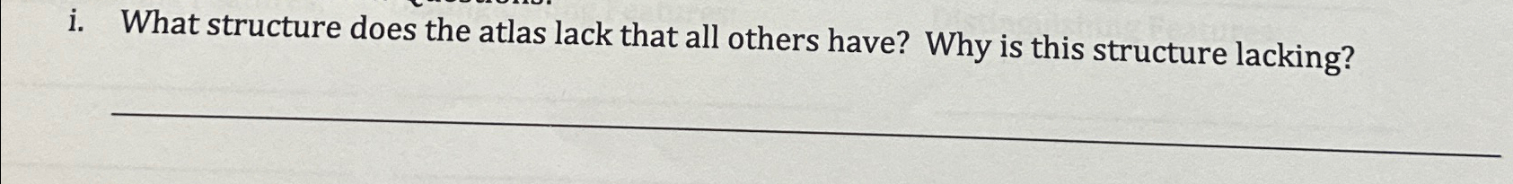  i. What structure does the atlas lack that all others have?