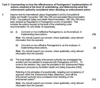  Task 3: Commenting on how the effectiveness of Packagenics' implementation of