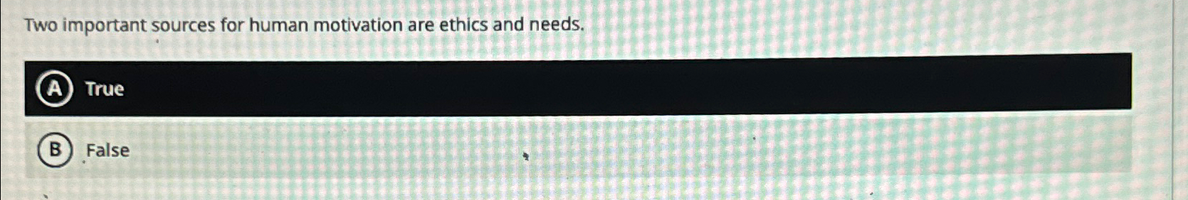  Two important sources for human motivation are ethics and needs. (A)