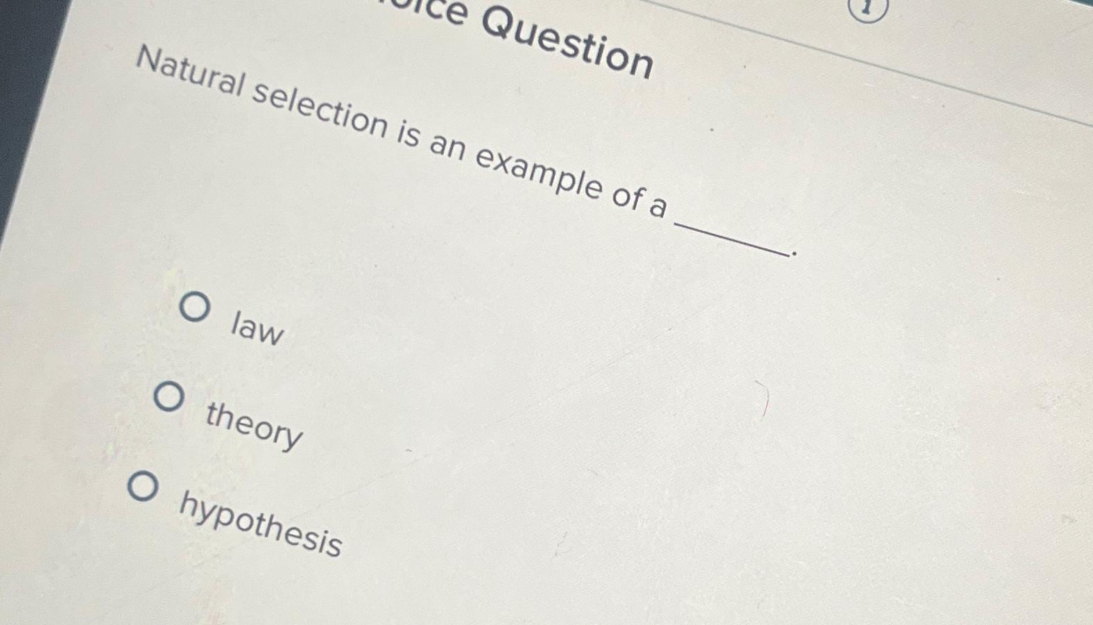  law theory hypothesis 