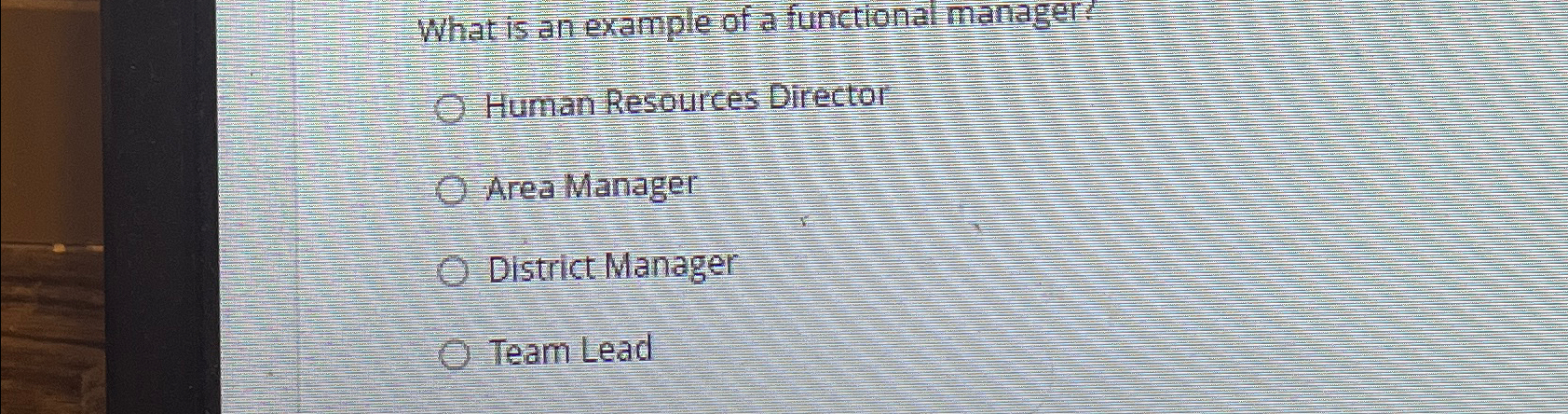  What is an example of a functional manager? Human Resources Director