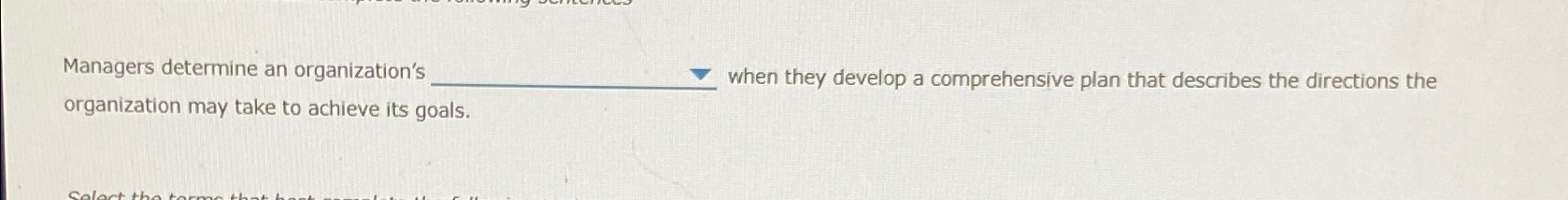  Managers determine an organization's _ when they develop a comprehensive plan