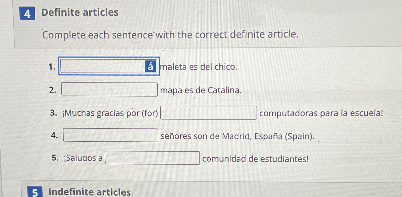  Definite articles Complete each sentence with the correct definite article. maleta