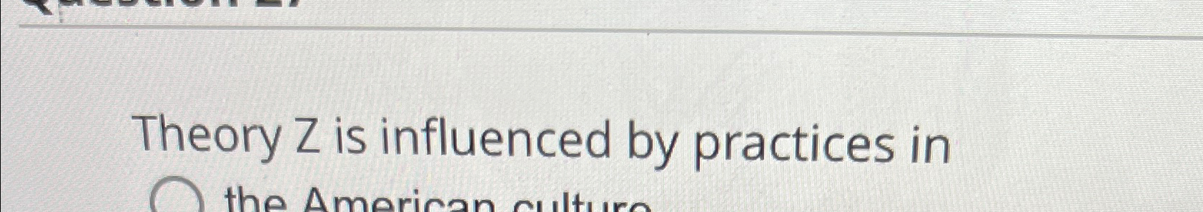  Theory Z is influenced by practices in 