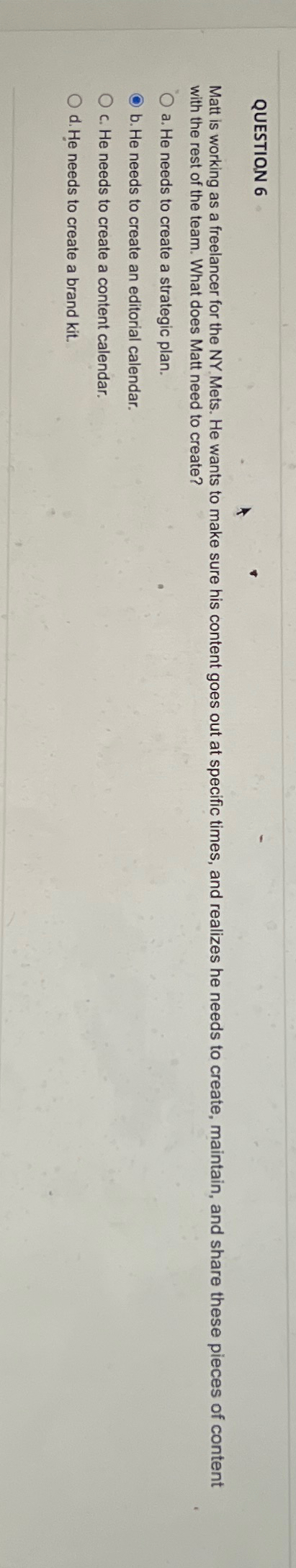  QUESTION 6 Matt is working as a freelancer for the NY.