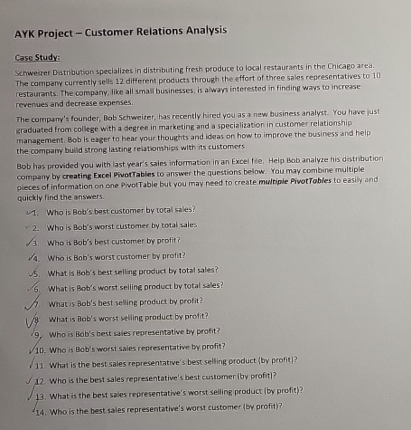  AYK Project - Customer Relations Analysis Case Study: Schweizer Distribution specializes